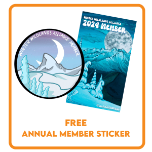 Member TIle 7_2024