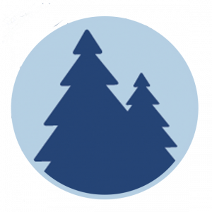 Solstice Trees Logo